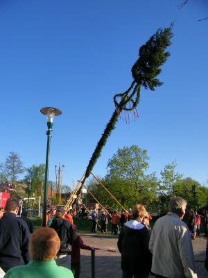 Maibaum